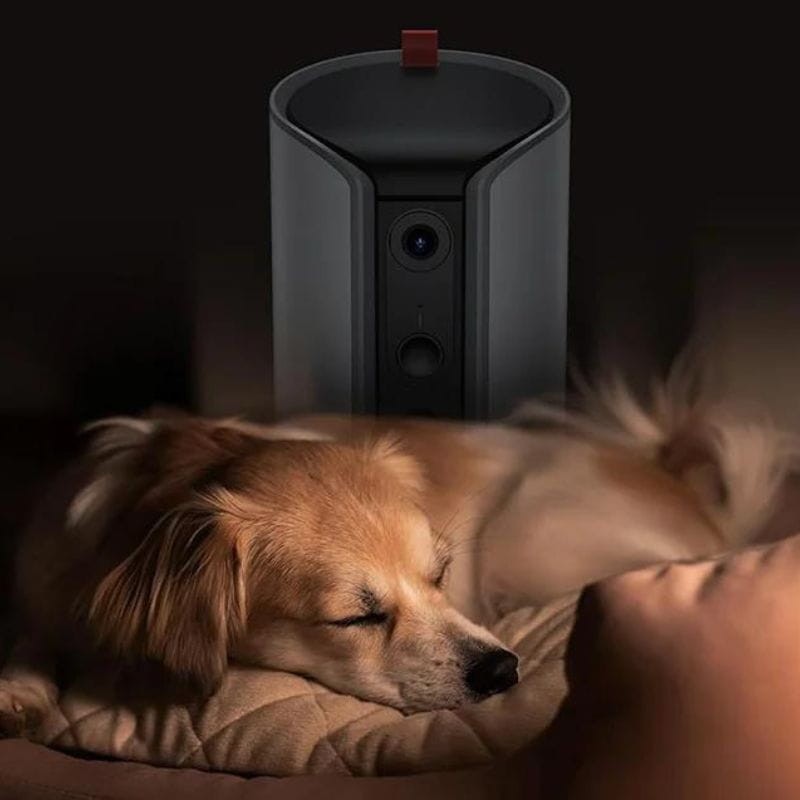 Cámara de vigilancia para mascotas con dispensador de golosinas Arenti Petcam 3MP 2K HD WiFi Dual Blanco - Ítem2