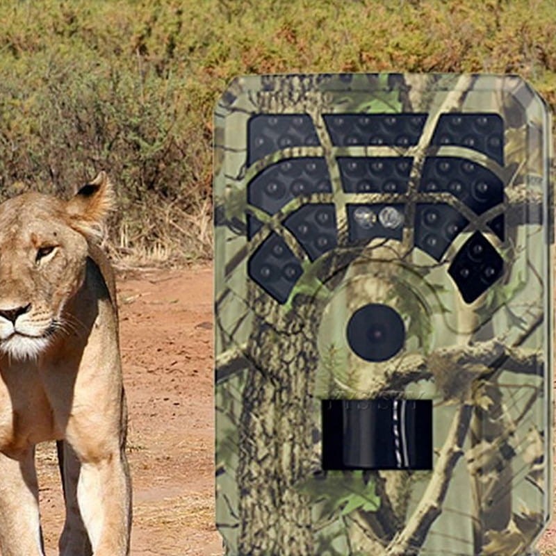 Câmera de Observação Camuflagem com Cartão de 32 GB - Item5