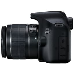 Canon EOS 2000D + EF-S 18-55 IS II