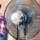 Cecotec ForceSilence 590 FreshEssence - Item5