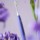 Toothbrush Xiaomi Oclean Air 2 Violet - Item1