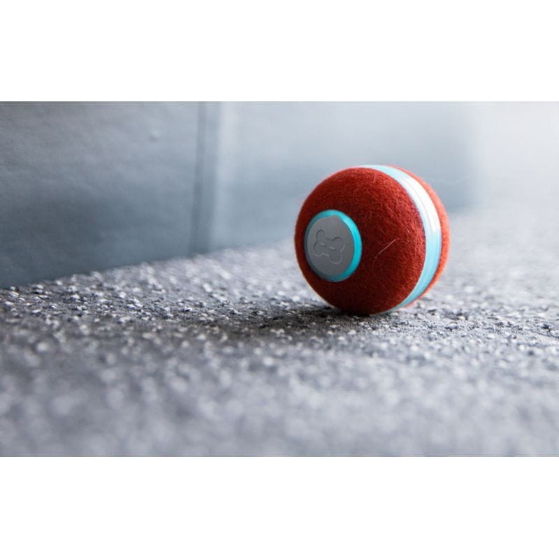 Cheerble M1 Bola vermelha interactiva para gatos - Brinquedo para animais de estimação - Item3