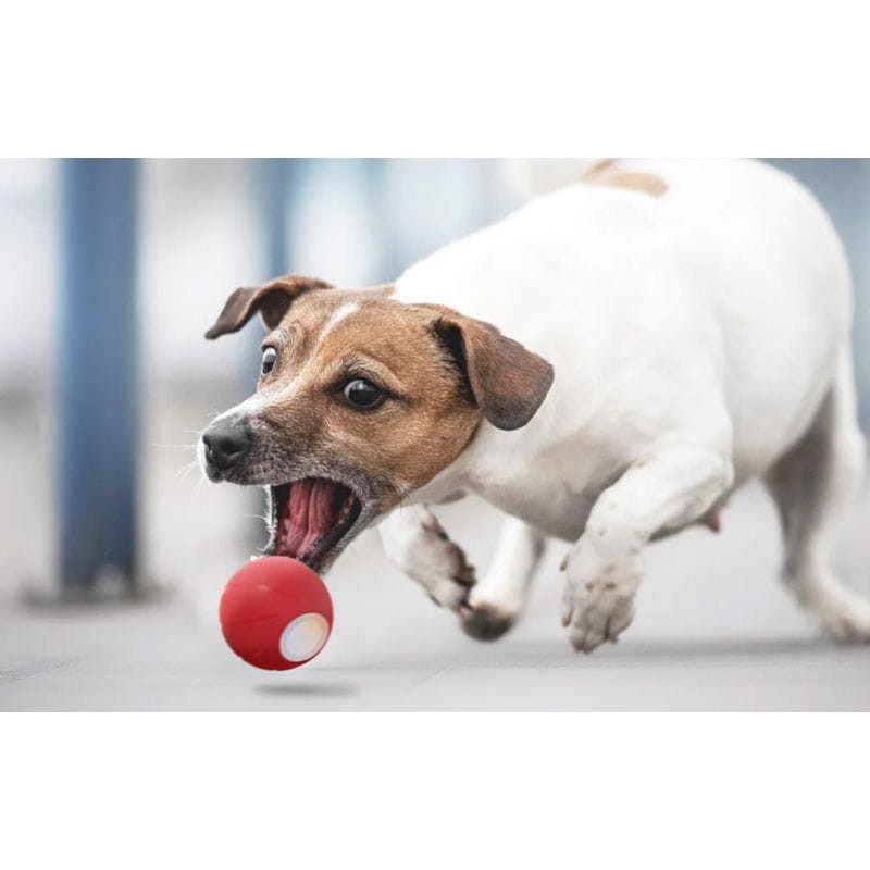Cheerble Wicked Ball SE Bola Interactiva Vermelha - Brinquedo para Animais de Estimação - Item4