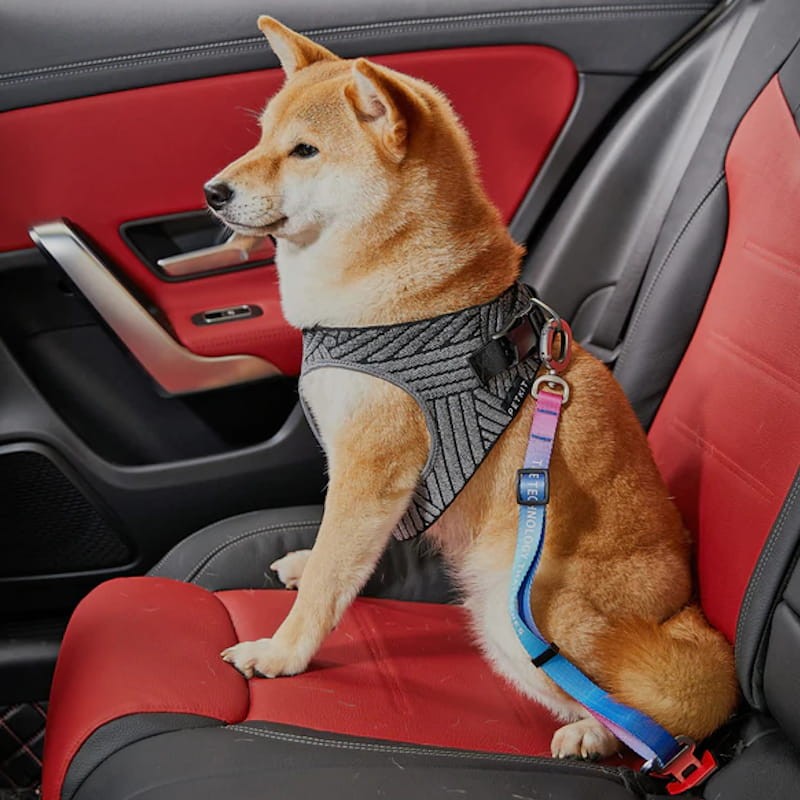 Cinto de Segurança para Animais de Estimação Petkit Seat Belt - Item4