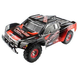 Voiture RC WLtoys 12423