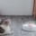 Comedero Ajustable Petkit F3 - Ítem6