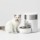 Alimentador automático Petkit Fresh Element Infinity 5L - Item1