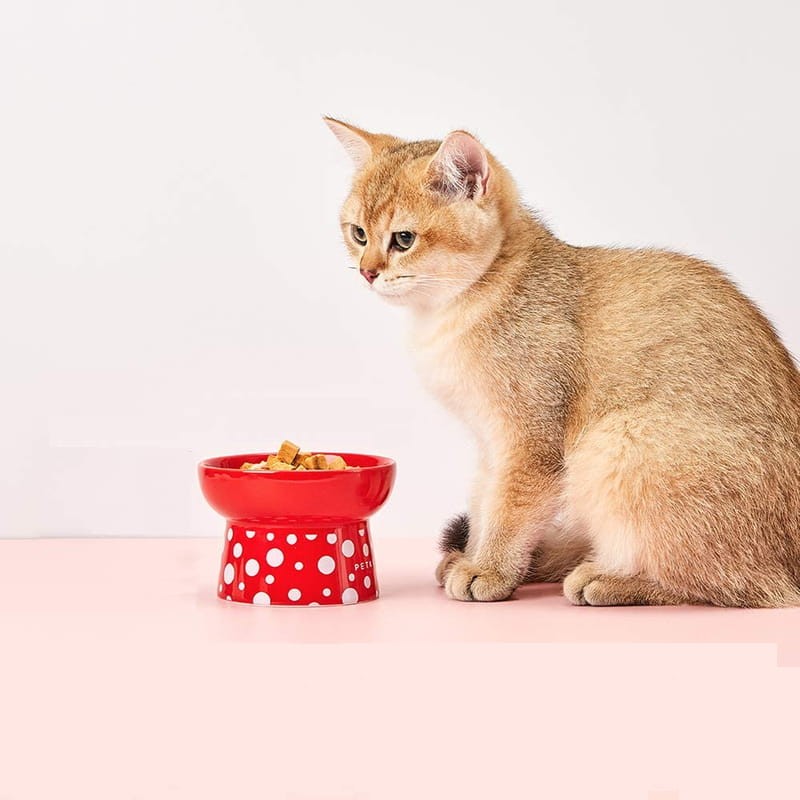 Comedero Doble para Mascota Cerámica Petkit Polk Dot Bowl - Ítem3