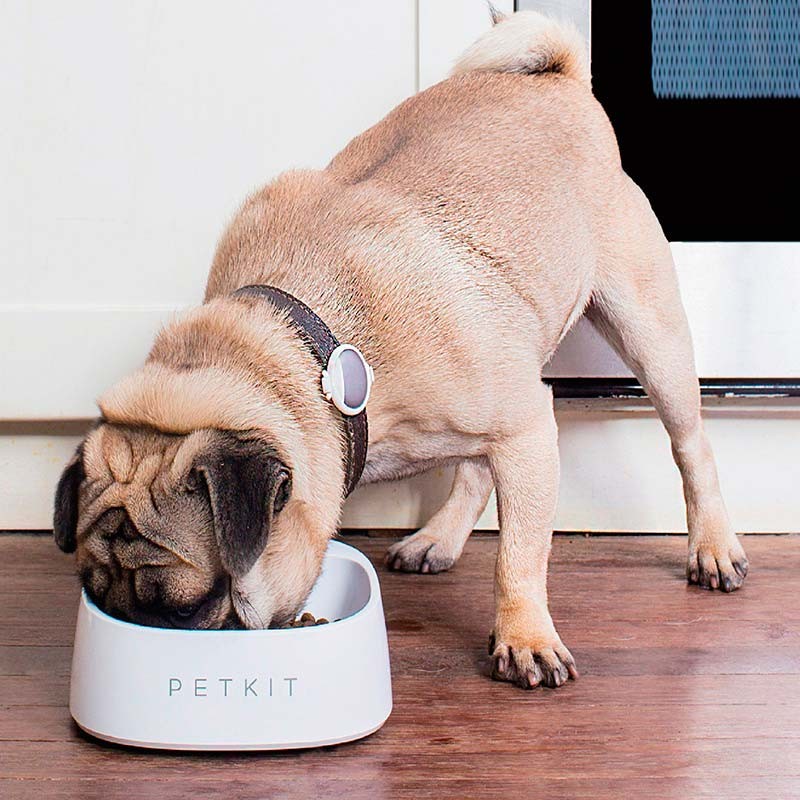 Comedouro Inteligente Petkit F1 Smart Antibacteriano Branco - Item4