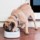 Comedero Inteligente Petkit F1 Smart Antibacterias Blanco - Ítem4