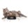 Comedero para Mascotas Xiaomi Pawbby Smart Pet Bowl - Ítem2