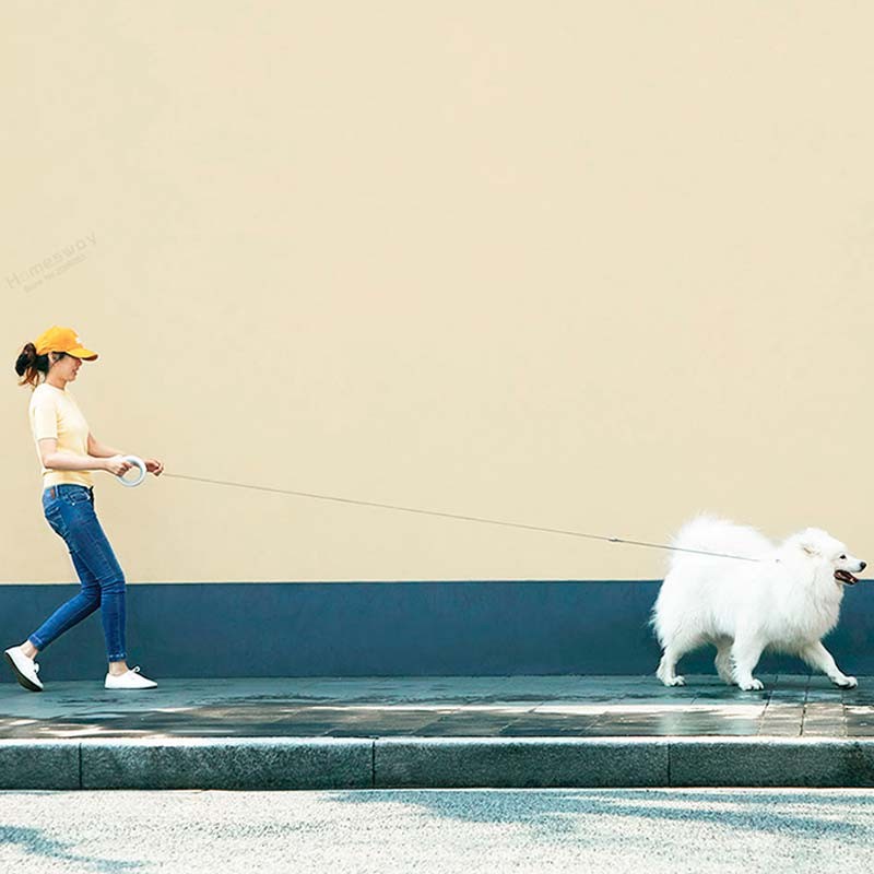 moestar dog leash