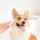 Cortapelos para Mascotas Pawbby Pet Small Area Clippers - Ítem1