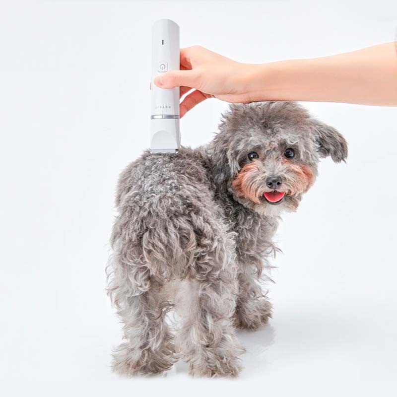 Tondeuse pour Animaux de Compagnie Petkit 2 en 1 - Ítem7