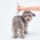 Máquina de Tosquiar Animais de Estimação Petkit 2 em 1 - Item7