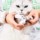 Corta-unhas para Animais de Estimação Petkit - Item8