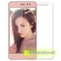 Protector de Vidro Temperado Leagoo Z5L - Item