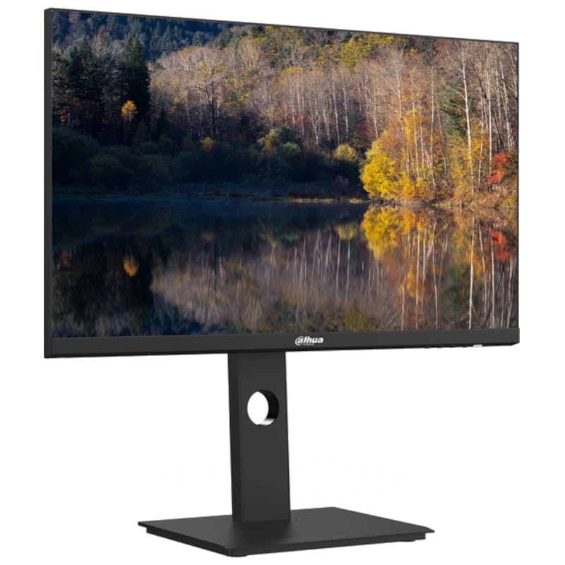 Dahua Technology LM24-P301A D 23.8