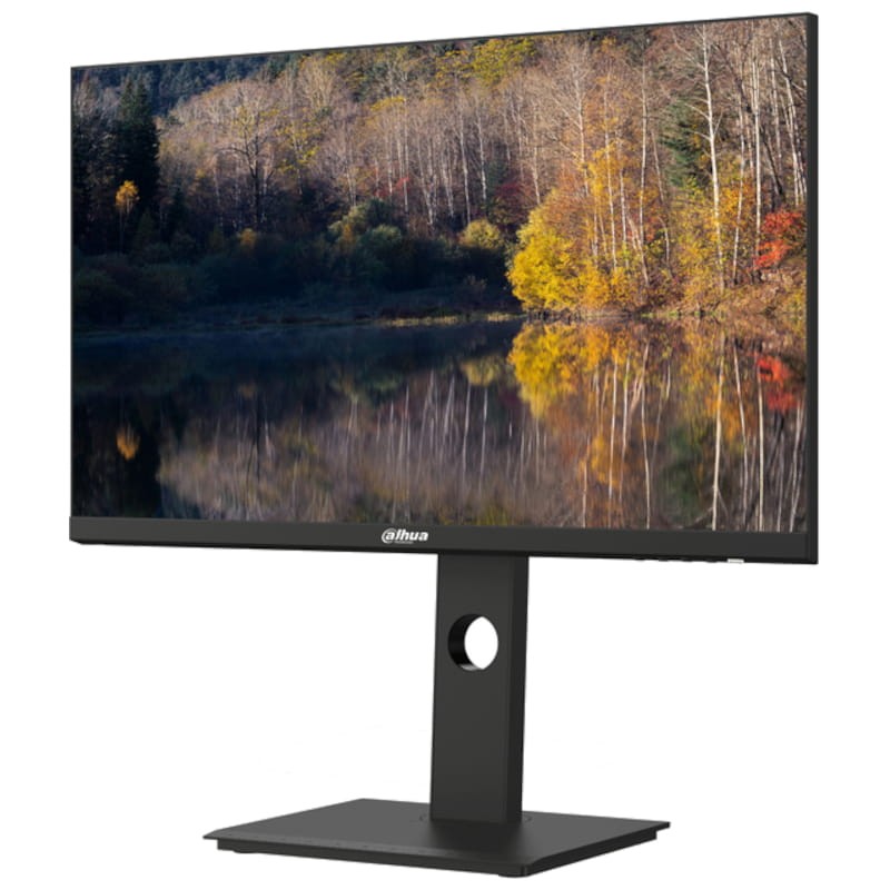 Dahua Technology LM24-P301A D 23.8