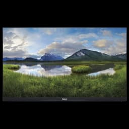 Dell P2419H 24 Full HD LCD sem suporte - Sem Selo