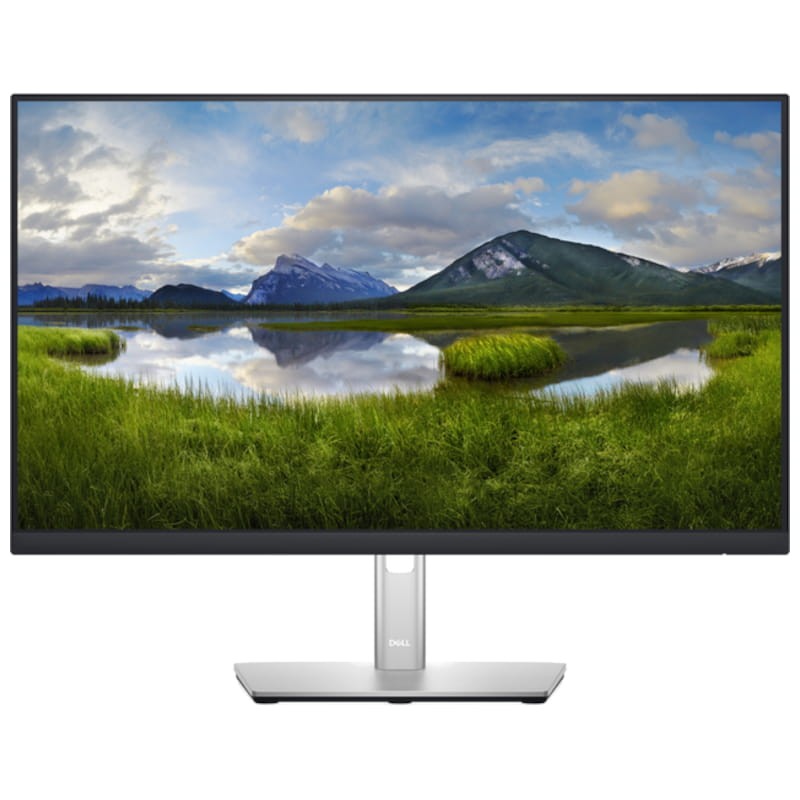 Dell Série P P2422H 24 Full HD LCD IPS Preto – Monitor de PC - Item