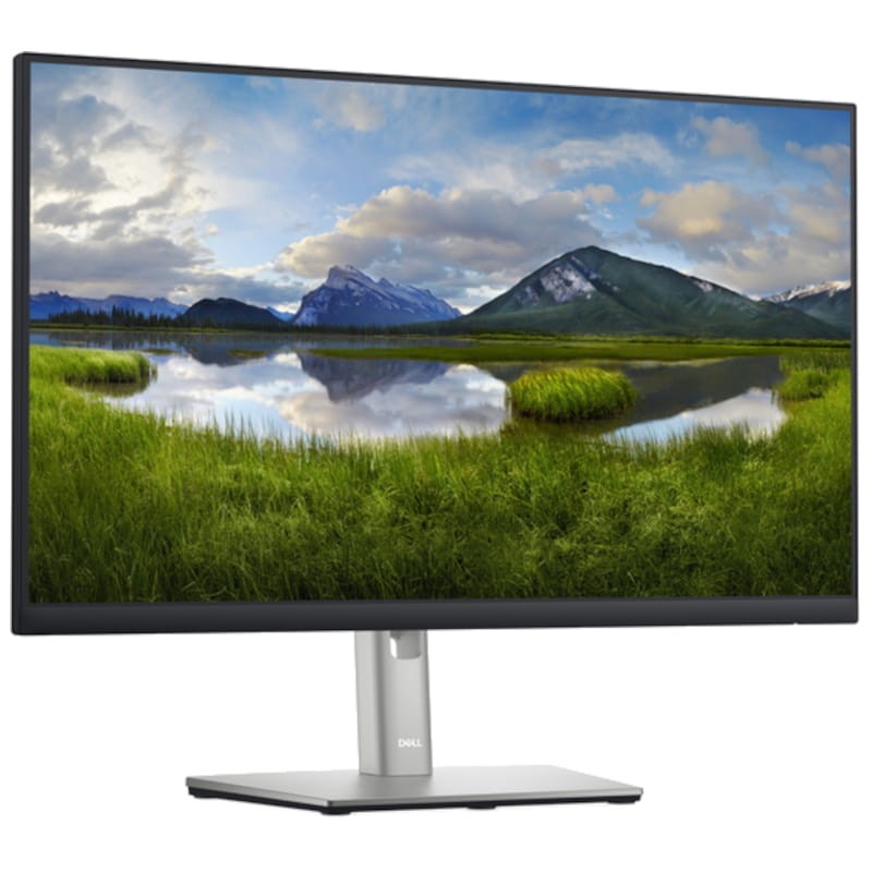 Dell Série P P2422H 24 Full HD LCD IPS Preto – Monitor de PC - Item1