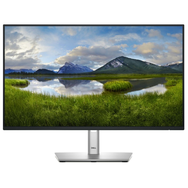 Dell P Series P2425HE 24