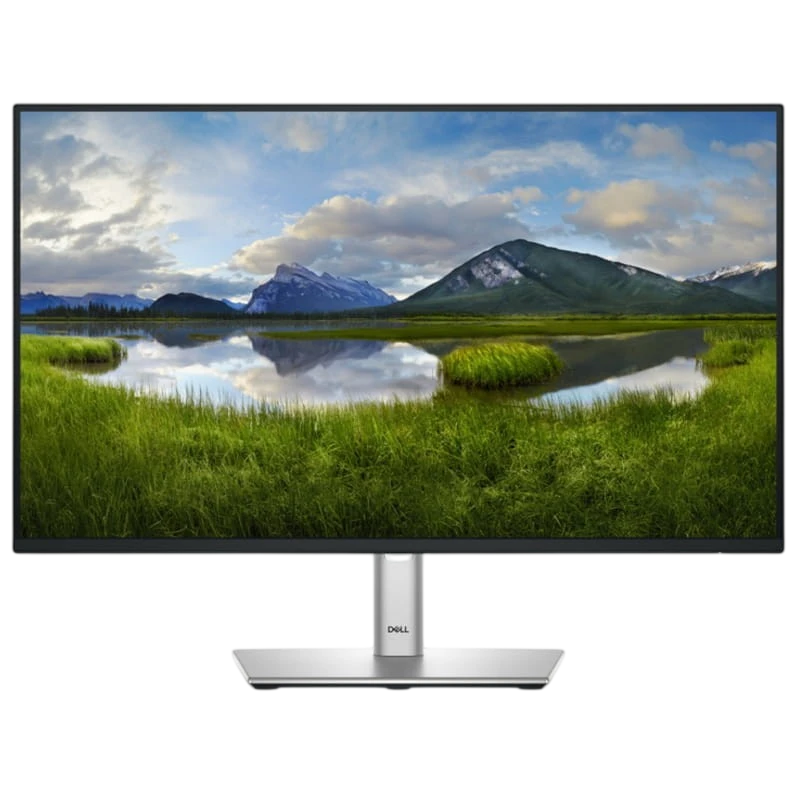 Dell P Series P2425HE 24