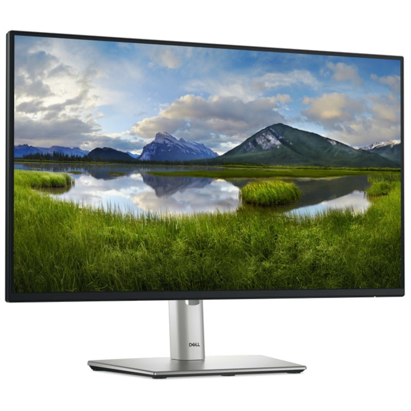 Dell P Series P2425HE 24