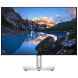 Dell UltraSharp U2421E 24.1” WUXGA IPS Prateado - Monitor para PC