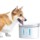 Blitzwolf BW-SPF1 Smart Automatic Pet Fountain - Item5