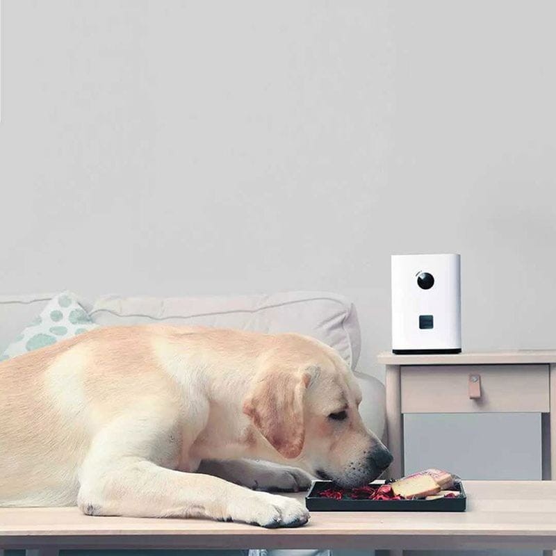 Dispensador de premios para mascotas con cámara Xiaomi Pawbby - Ítem4