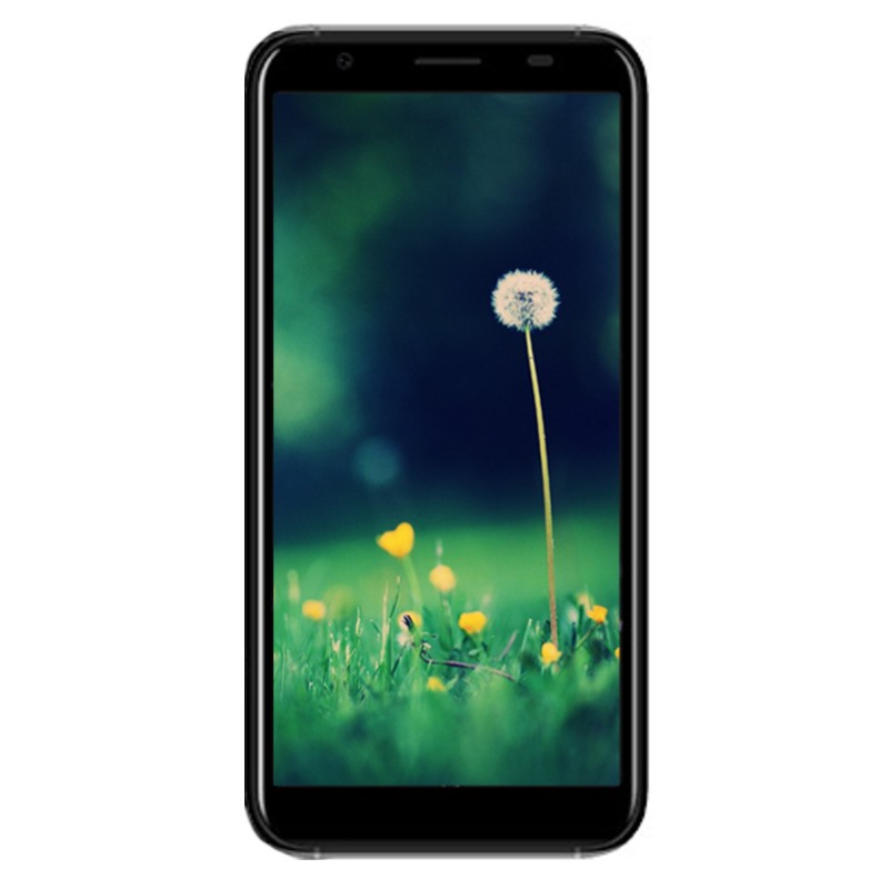 Doogee X55