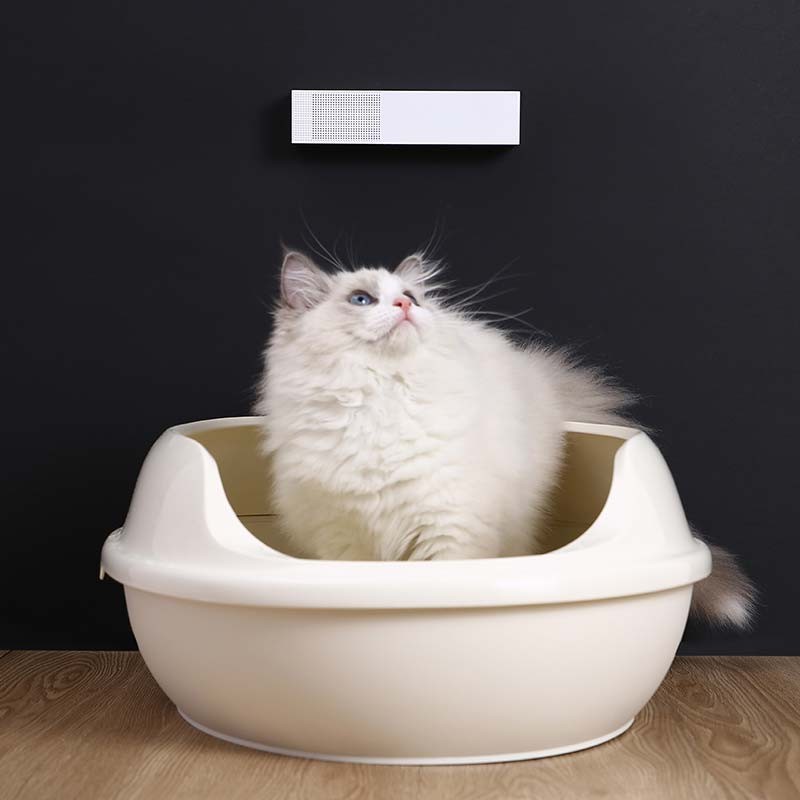 Éliminateur d'odeurs Petkit K1 Smart Odor Eliminator - Ítem4