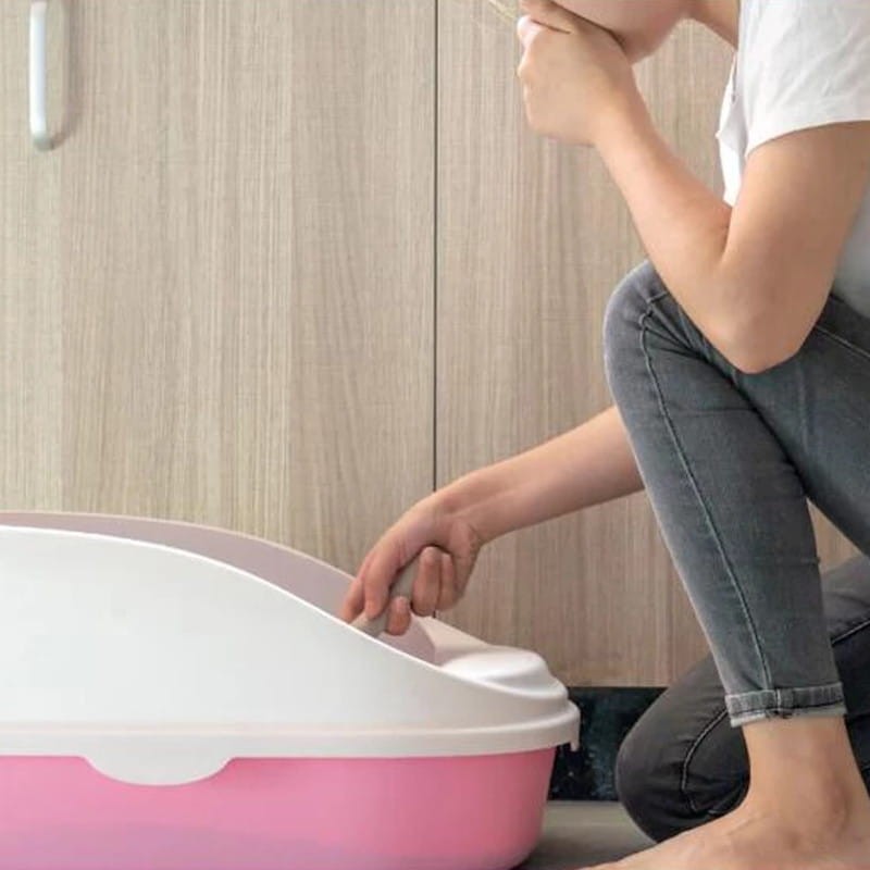 Éliminateur d'Odeurs Petoneer Breeze Smart Odor Pro - Pour Intérieur de Litière - Avec Fonction de Désinfection - Ítem3