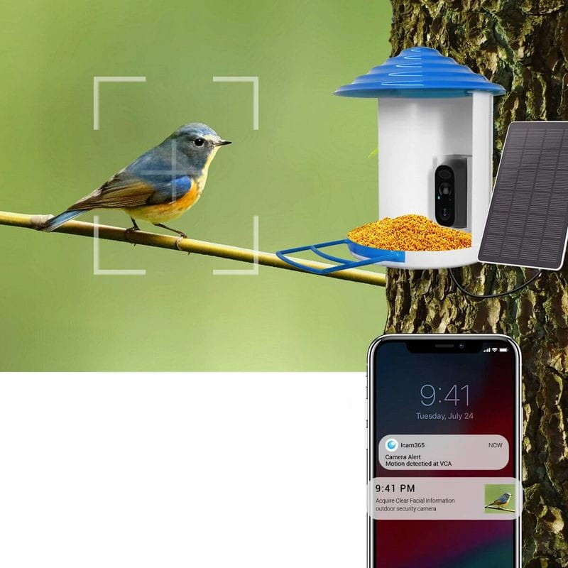 Mangeoire à oiseaux solaire sans fil avec caméra, caméra