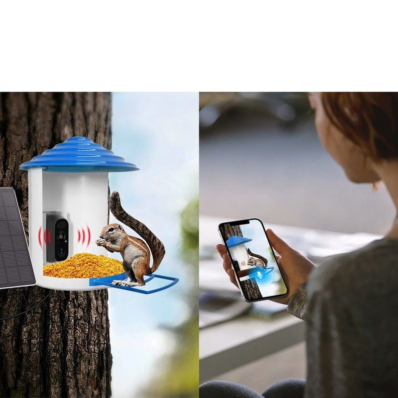 Mangeoire intelligente pour oiseaux avec caméra sans fil à énergie