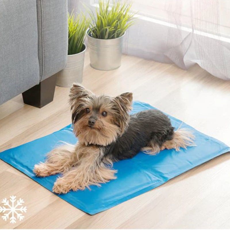Esterilla Refrigerante para Mascota Colet InnovaGoods 40 x 50 cm Azul - Ítem2