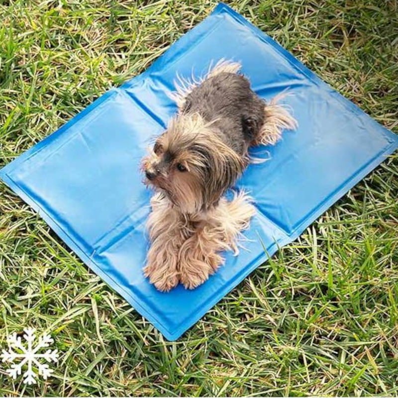 Esterilla Refrigerante para Mascota Colet InnovaGoods 40 x 50 cm Azul - Ítem3