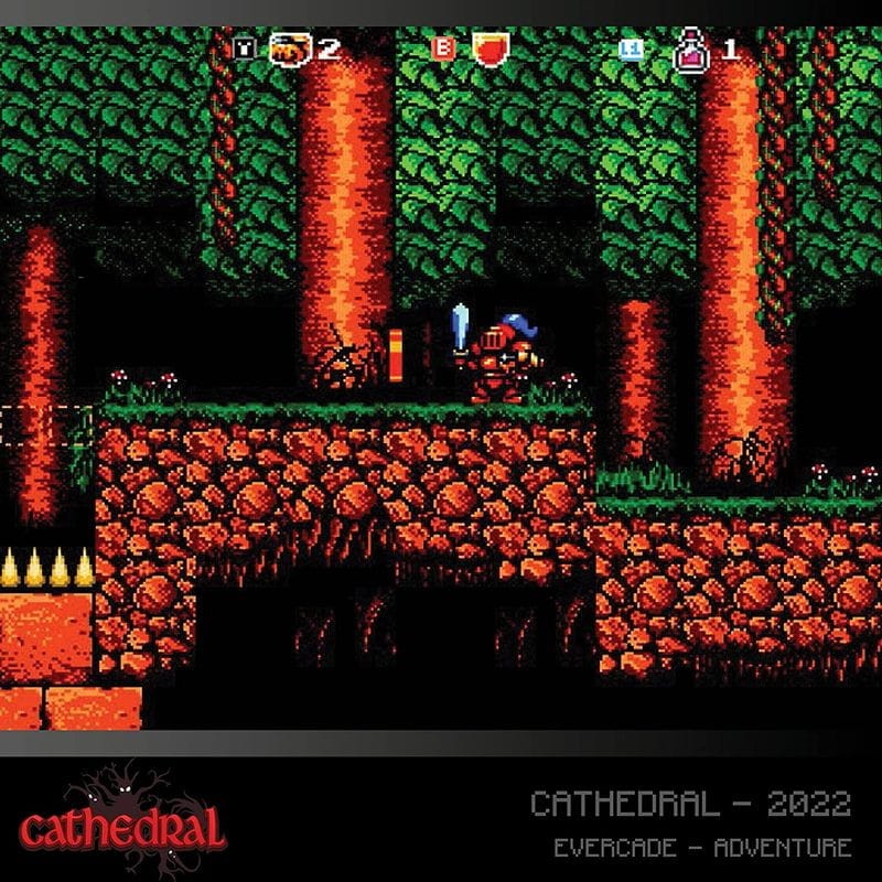 Jeu Retro Evercade Alwa´s Awakening / Cathédral - Ítem2