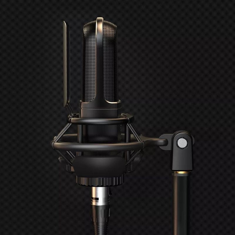 Fifine K726 Microfone XLR Preto para Gravação e Streaming no PC - Item4