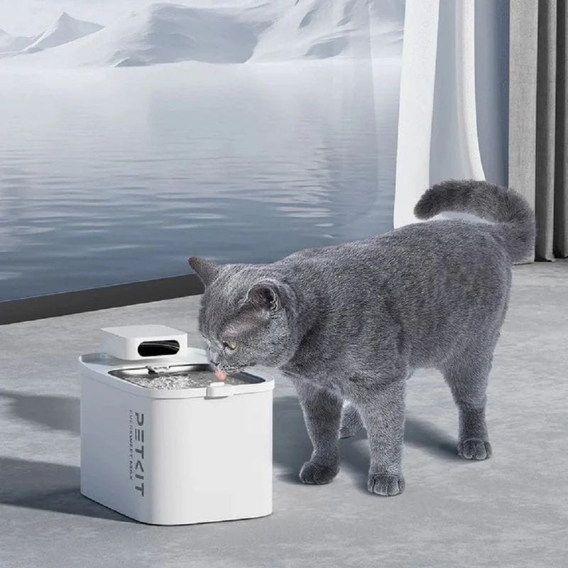 Filtres pour abreuvoir automatique PETKIT Eversweet MAX - Petkit Filter Unit Rect - Kit 5 unités - Ítem3