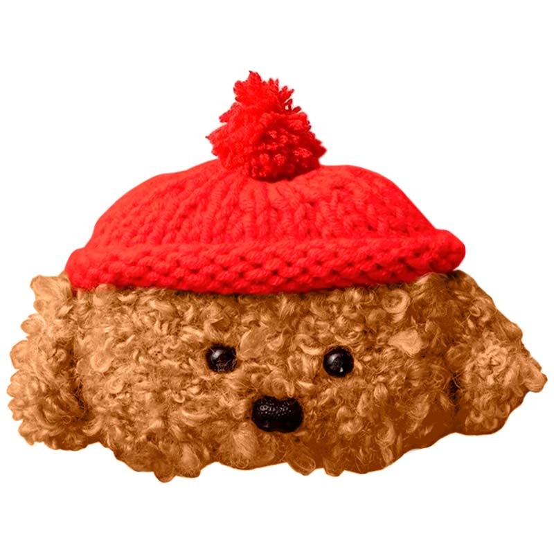 Housse Teddy Bear pour Apple Airpods Pro - Ítem