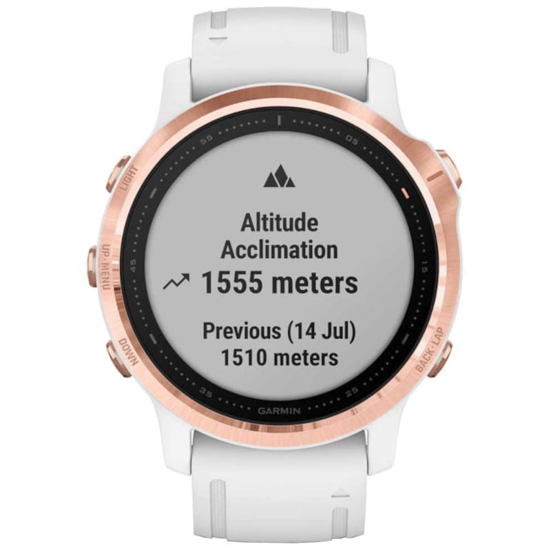 Garmin fenix sale 6s pro 42mm