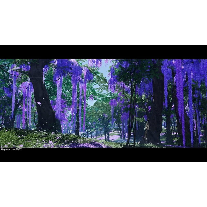 Ghost of Tsushima Director's Cut - Videojuego para PS5 - Ítem2