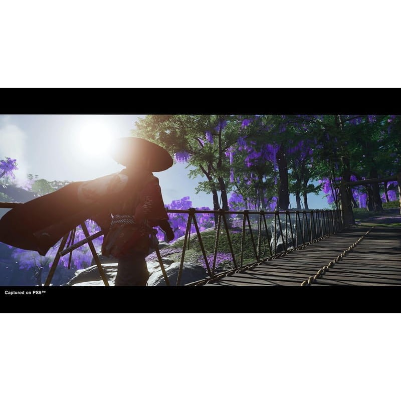 Ghost of Tsushima Director's Cut - Videojuego para PS5 - Ítem3