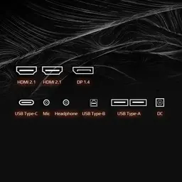 Conexiones y puertos del Monitor Gigabyte AORUS FO32U 31.5 4K UHD Negro