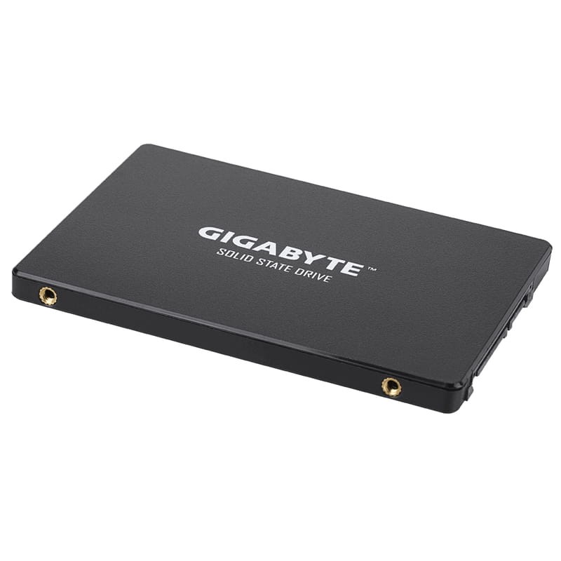 Gigabyte GP-GSTFS31100TNTD 1To SSD Noir - Disque dur - Ítem2