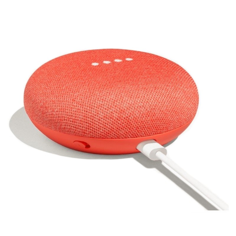 coral google home