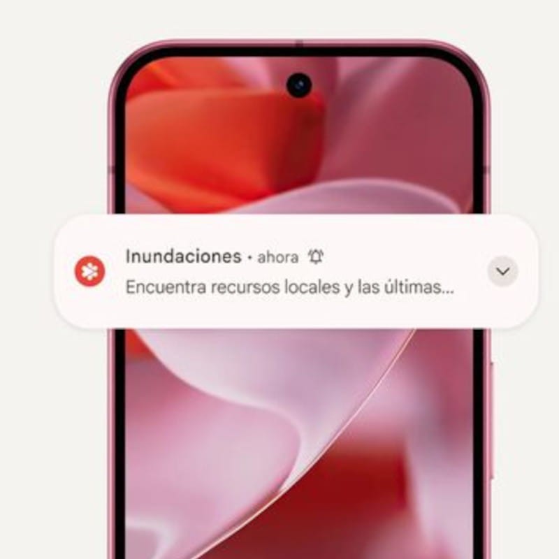 Google Pixel 9 5G 256GB Obsidiana - Teléfono Móvil - Ítem7